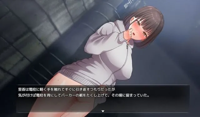夜行（安卓直装＋PC端）-羽翼社