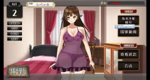 入境监查官瑞贝卡v1.0（PC端）-羽翼社