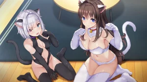 NinNinDays 2（PC端）-羽翼社