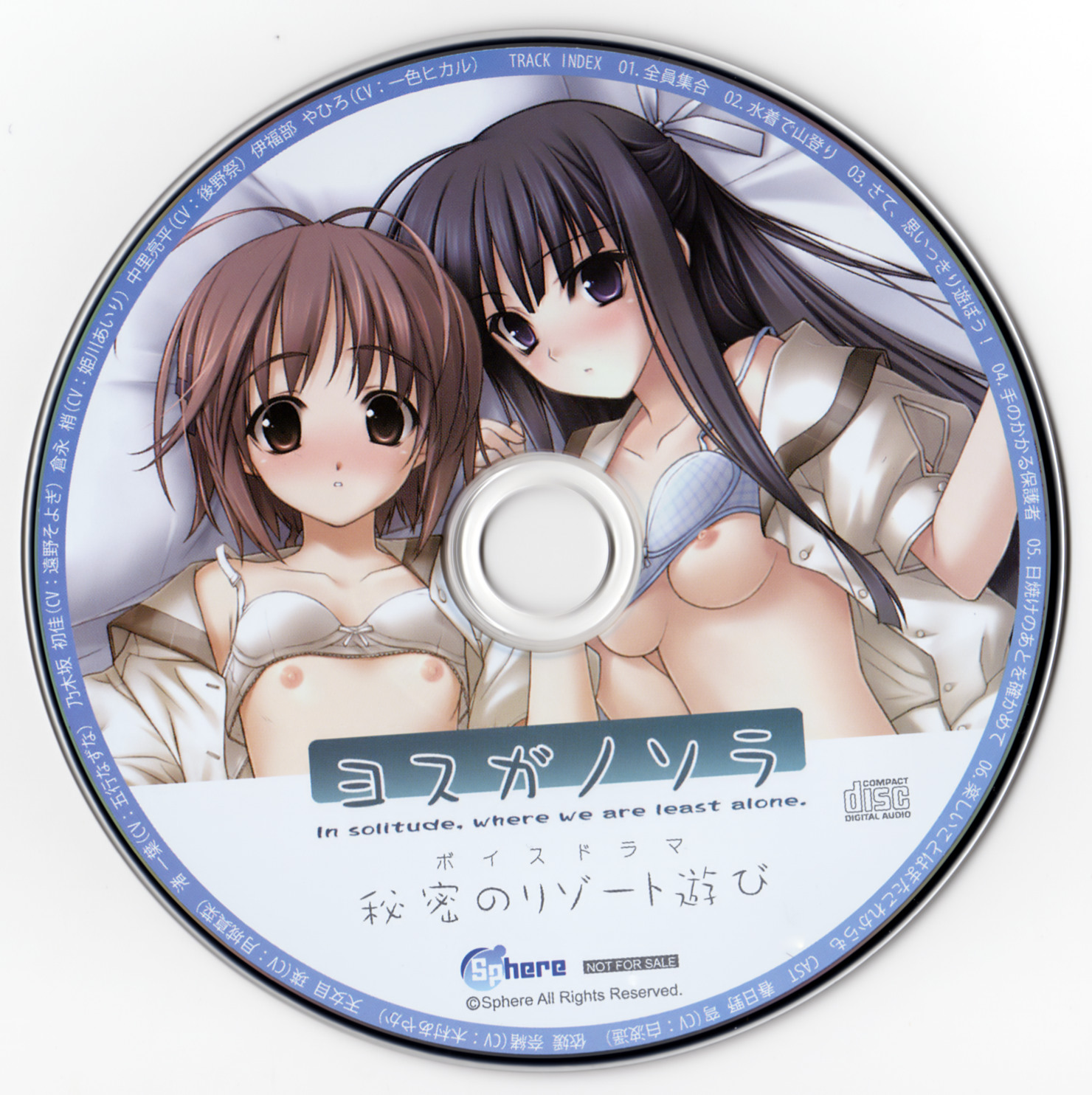 缘之空PC(包括音频),天穹之缘(原创图),4张春日野穹同人图,缘之空主线3D剧情版-羽翼社