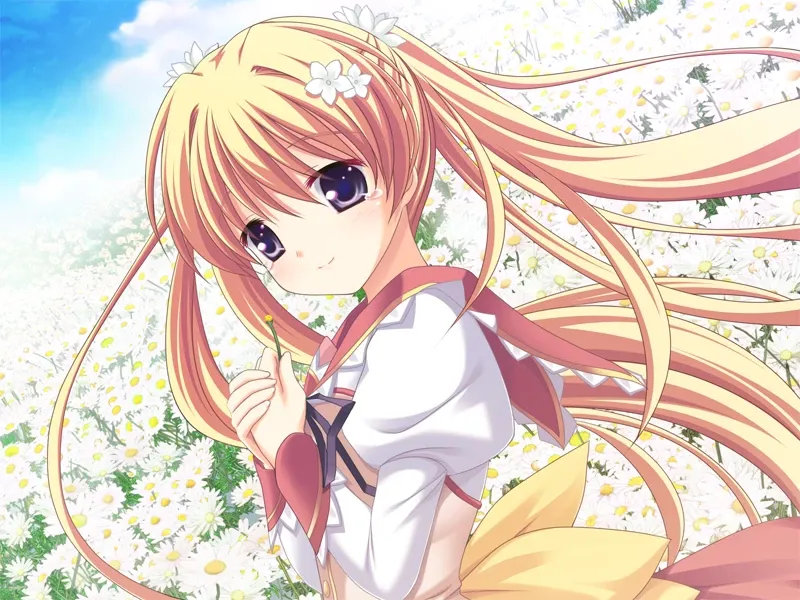 图片[2]-丽特的占卜星-Marguerite Sphere -マーガレット スフィア（KRKR） | 羽翼社-羽翼社