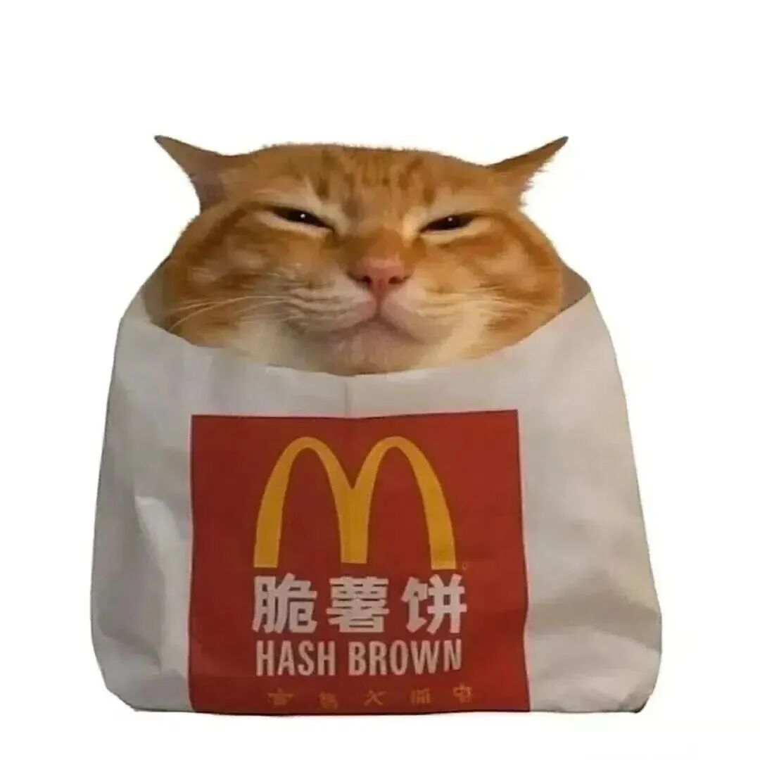 隔壁王二喵的头像-羽翼社